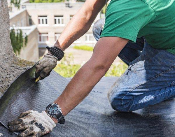 Roof Repair 101: Tackling Common Issues Like a Pro